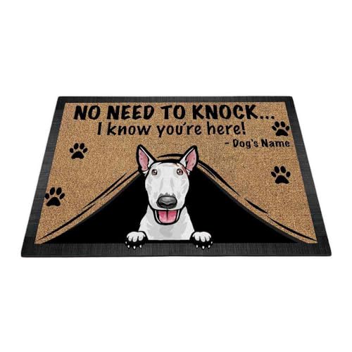 Bull Terrier-1