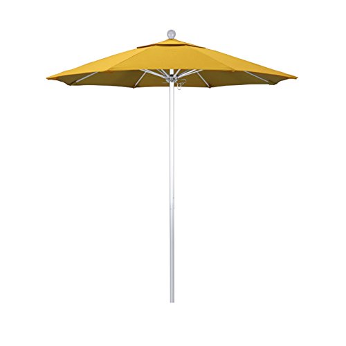 Sunflower Yellow