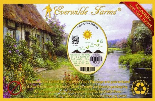 Everwilde Farms - 1/4 Lb Dark-Green Bulrush Native Grass Seeds - Gold Vault Packaging - Ideal for Wetland Restoration, Erosion Control & Natural Landscaping