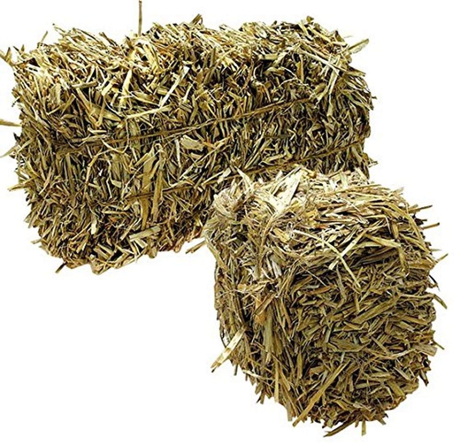 Green Vista Barley Straw Bales for Pond Water Treatment - 12-15 lbs (Natural Algae Control) | Safe for Koi, Fish & Plants | Treats 1/2 Acre Farm/Rentention Pond for 6 Months | Improves Water Quality & Balance | Perfect for Garden Ponds, Lakes & Water Features