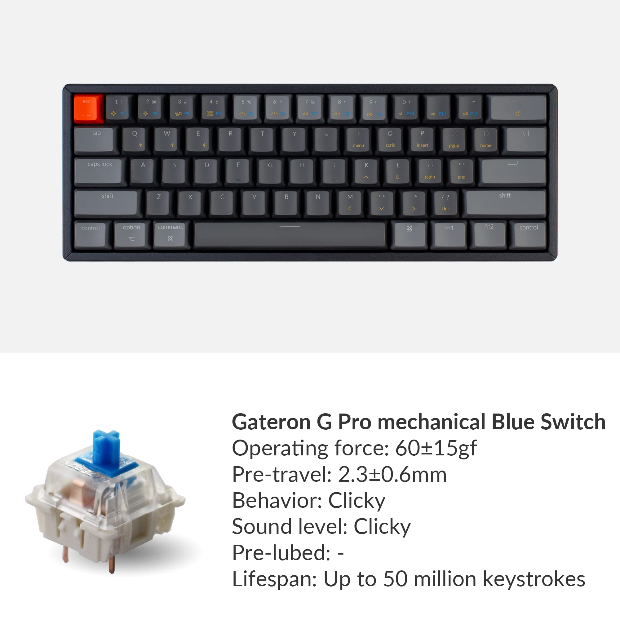 Keychron K12 60% Compact Mechanical Keyboard - Bluetooth Wireless & USB Wired, Gateron G Pro Blue Switches, RGB Backlit, N-Key Rollover, Aluminum Frame - 61-Key for Mac/Windows (Perfect for Office Work, Gaming & Programming)