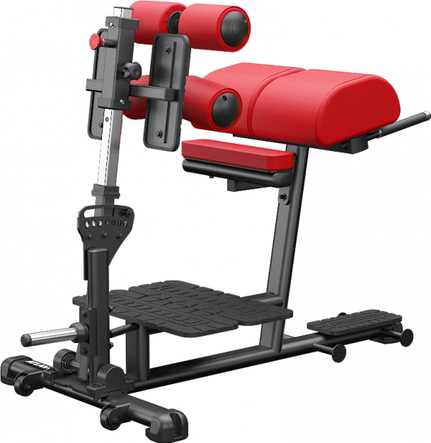 ATLANTIS Glute & Ham Developer (GHD) - Professional Home Gym Equipment for Glutes & Hamstring Workouts - Perfect for CrossFit, Strength Training & Home Fitness