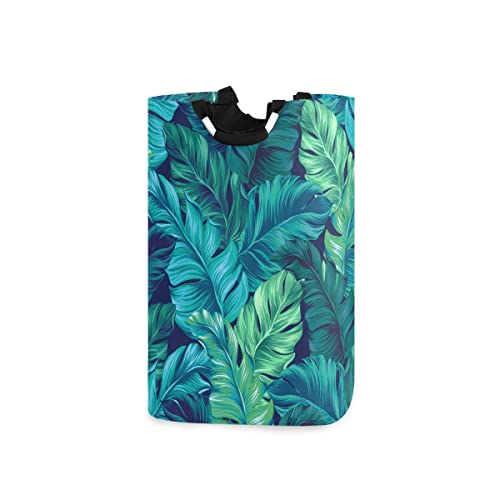 Tropical Plant 116