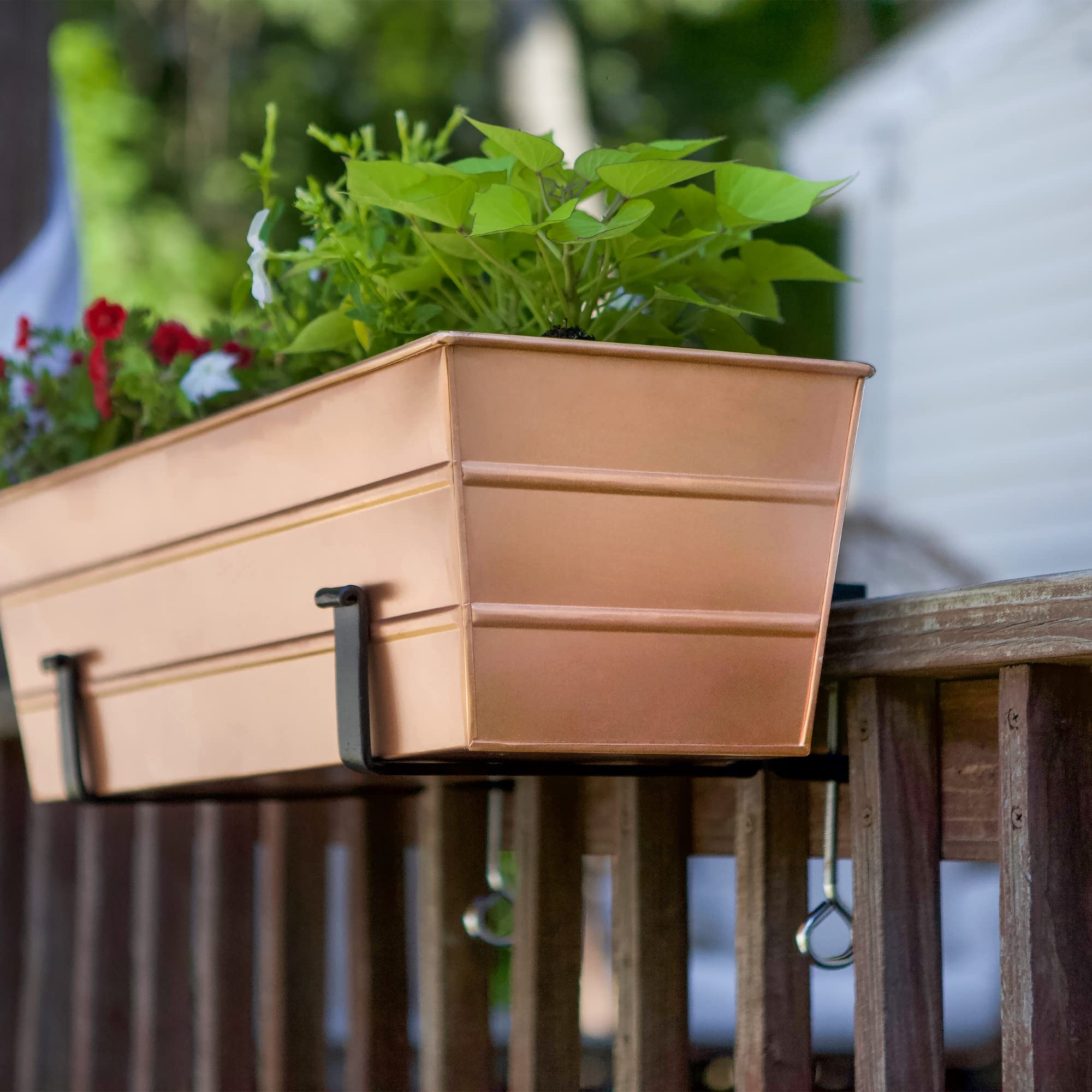 Achla Designs Medium Copper Flower Box with Clamp-On Brackets - Elegant Planter for Windowsills, Railings & Outdoor Decor - Perfect for Flowers, Herbs & Small Plants