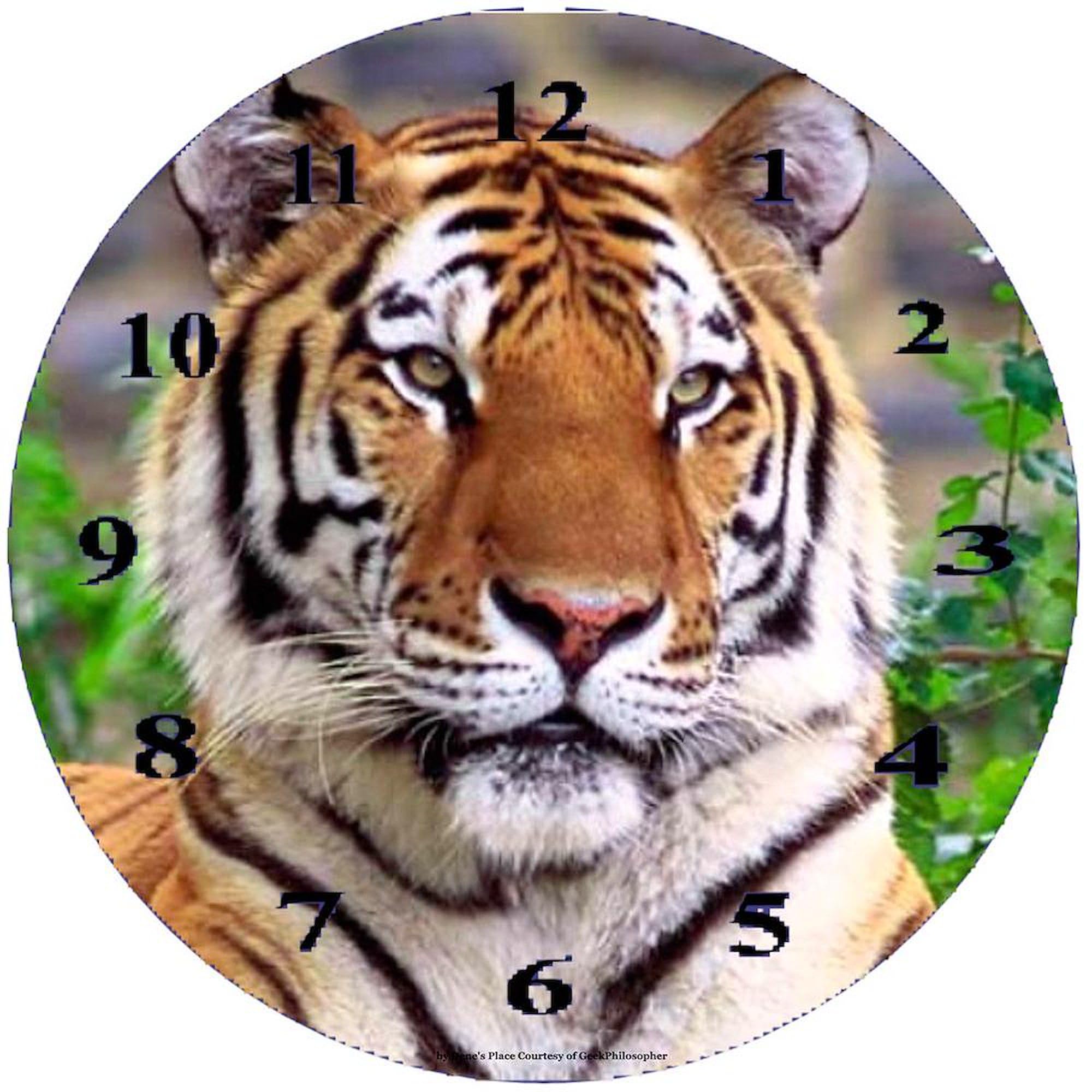 Siberian Tiger 10 Inch Wall Clock - Modern Home Decor for Living Room, Kitchen, Office | Perfect Gift for Animal Lovers & Home Decor Enthusiasts | Durable & Silent Non-Ticking Design