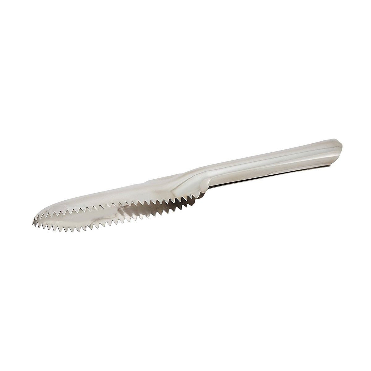 Fish Scaler - 9.5 Inch Stainless Steel Fish Descaler Tool for Kitchen - Perfect for Cleaning Salmon, Tilapia, Bass & More - Ideal for Home Cooking, Camping & Outdoor Fishing