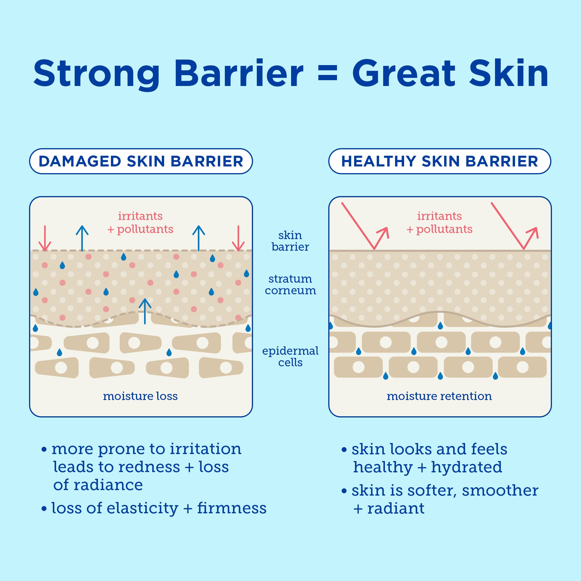 Barrier+ Foaming Clay Cleanser - Deep Pore Cleansing for Oily & Acne-Prone Skin | Gentle Exfoliating Face Wash for Men & Women | Perfect for Daily Skincare Routine & Post-Workout Cleansing