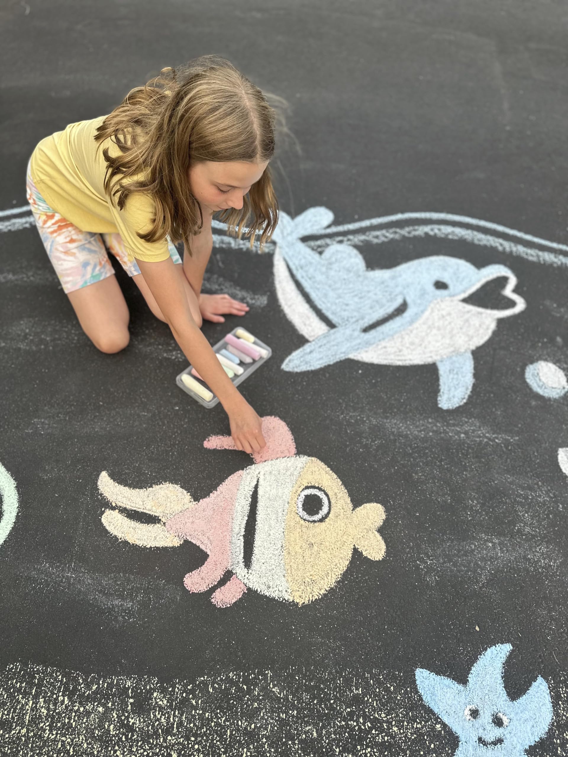Eberhard Premium Street Chalk Set in Bucket - 48 Vibrant Colors for Sidewalk Art, Outdoor Play & Creative Learning