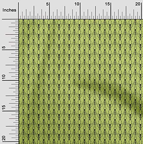 Conifer