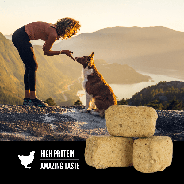 Orijen Original Freeze Dried Dog Treats - High Protein Grain-Free Natural Dog Snacks for Training & Rewards | Perfect for Small, Medium & Large Breeds