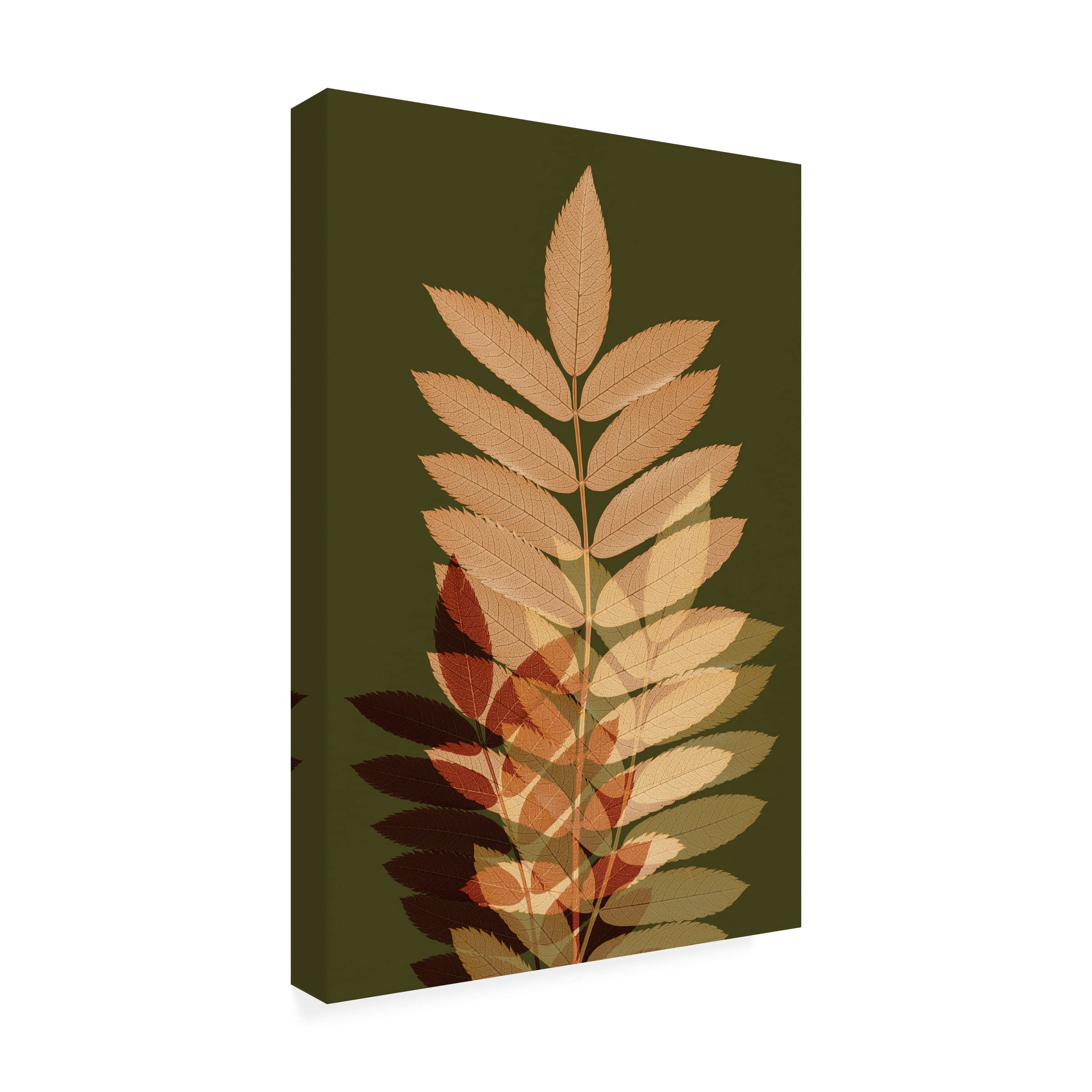 Fall Leaves 2 Canvas Wall Art Print by Ian Winstanley - Modern Nature Landscape Painting for Living Room, Bedroom & Office Decor