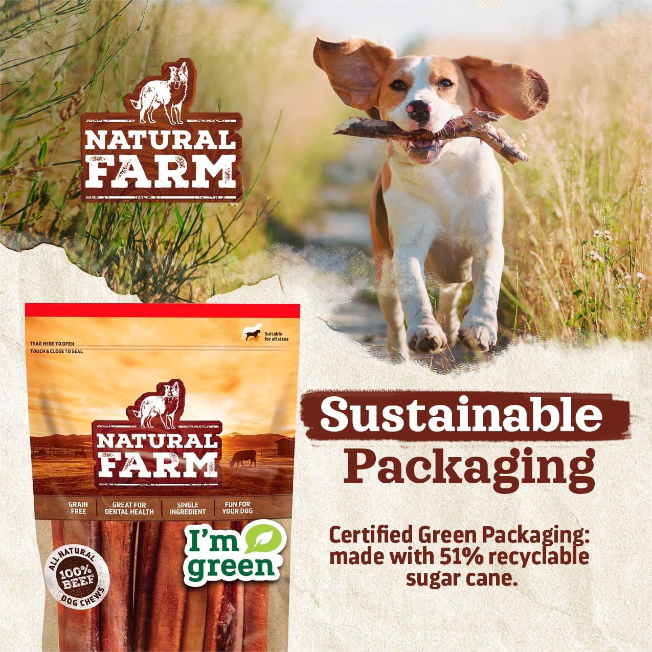 Natural Filled Dog Bones with Bully Stick Flavor – Limited Ingredient Dental Chew Treats for Large Dogs (5-6 Inch, 3 Pack) – Perfect for Teething, Training & Dental Health