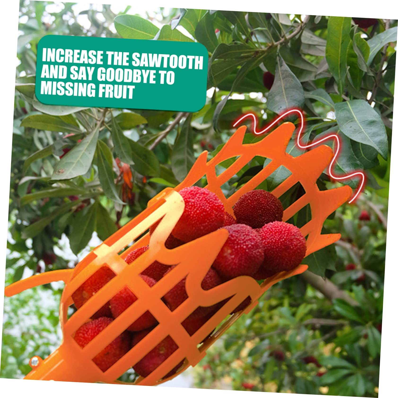2-Pack Plastic Fruit Picker Tool - Lightweight Orchard Harvesting Basket for Jujube, Persimmon, Mango & More - Easy Reach Fruit Collector for Home Garden, Farm & Backyard Harvesting