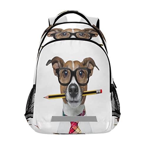Jack Russell Dog
