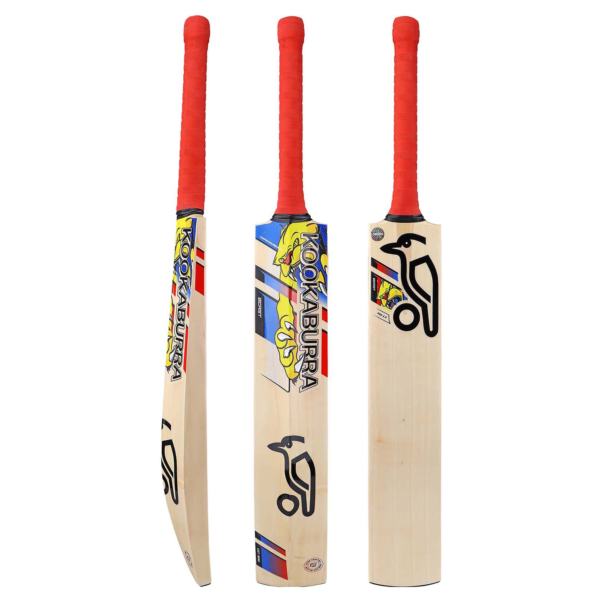 Beast Pro 4.0 Cricket Bat - Premium English Willow with Perfect Weight Balance | Ideal for Professional Matches & Training Sessions