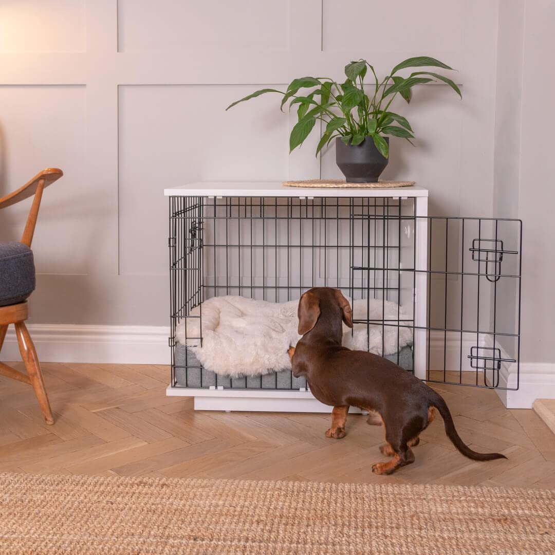 Omlet Fido Studio Dog Crate - Modern Furniture Style Pet Crate for Puppy Training & Adult Dogs - Comfortable Safe Space for Small Dogs - White - Perfect for Home, Office & Travel Use