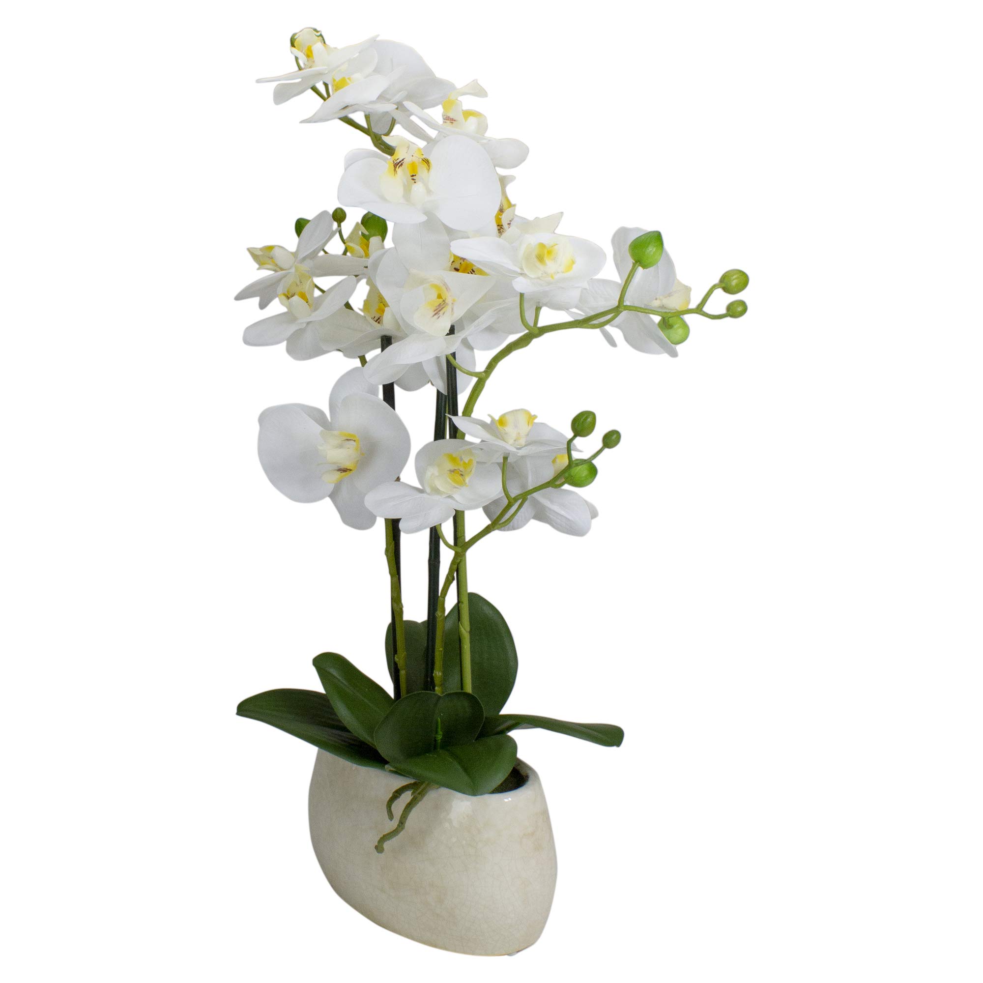Premium Real Touch™ Artificial Orchid Plant in White Oval Pot - 22