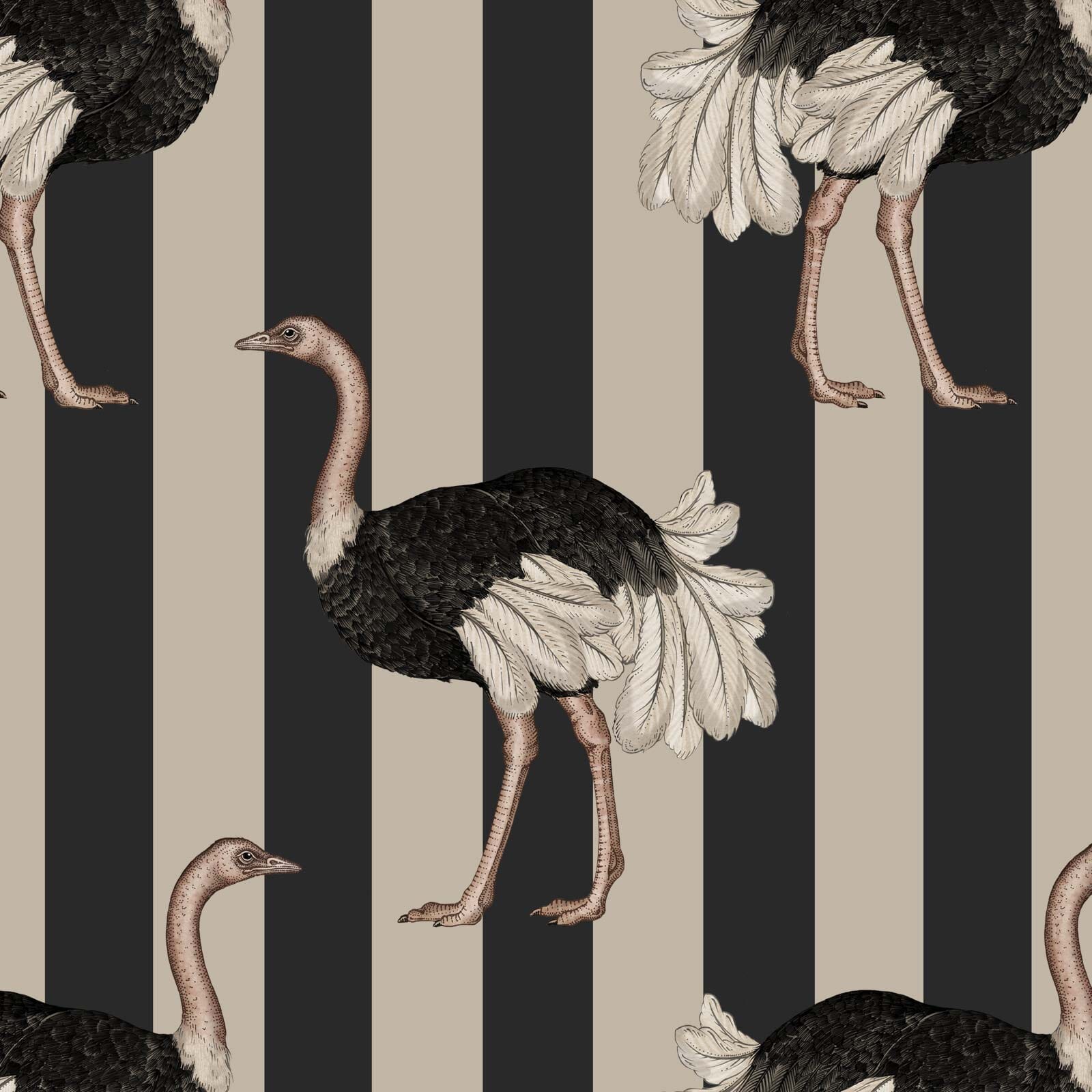 PRIDE Wallpaper Sample - Clay & Off Black Color - Perfect for Living Room, Bedroom, or Home Office Decor