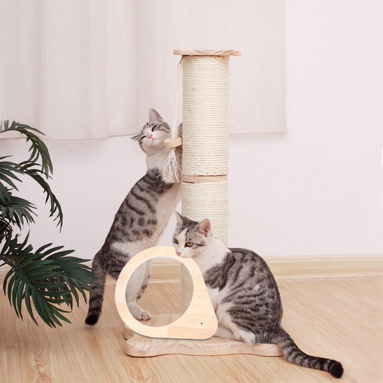 Wear-Resistant Cat Perch Frame - Scratching Post Replacement, DIY Cat Tree Shelf for Indoor Kittens & Cats | Perfect for Cat Beds, Climbing & Play Areas