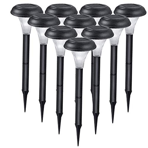 Pack of 10 - White Light
