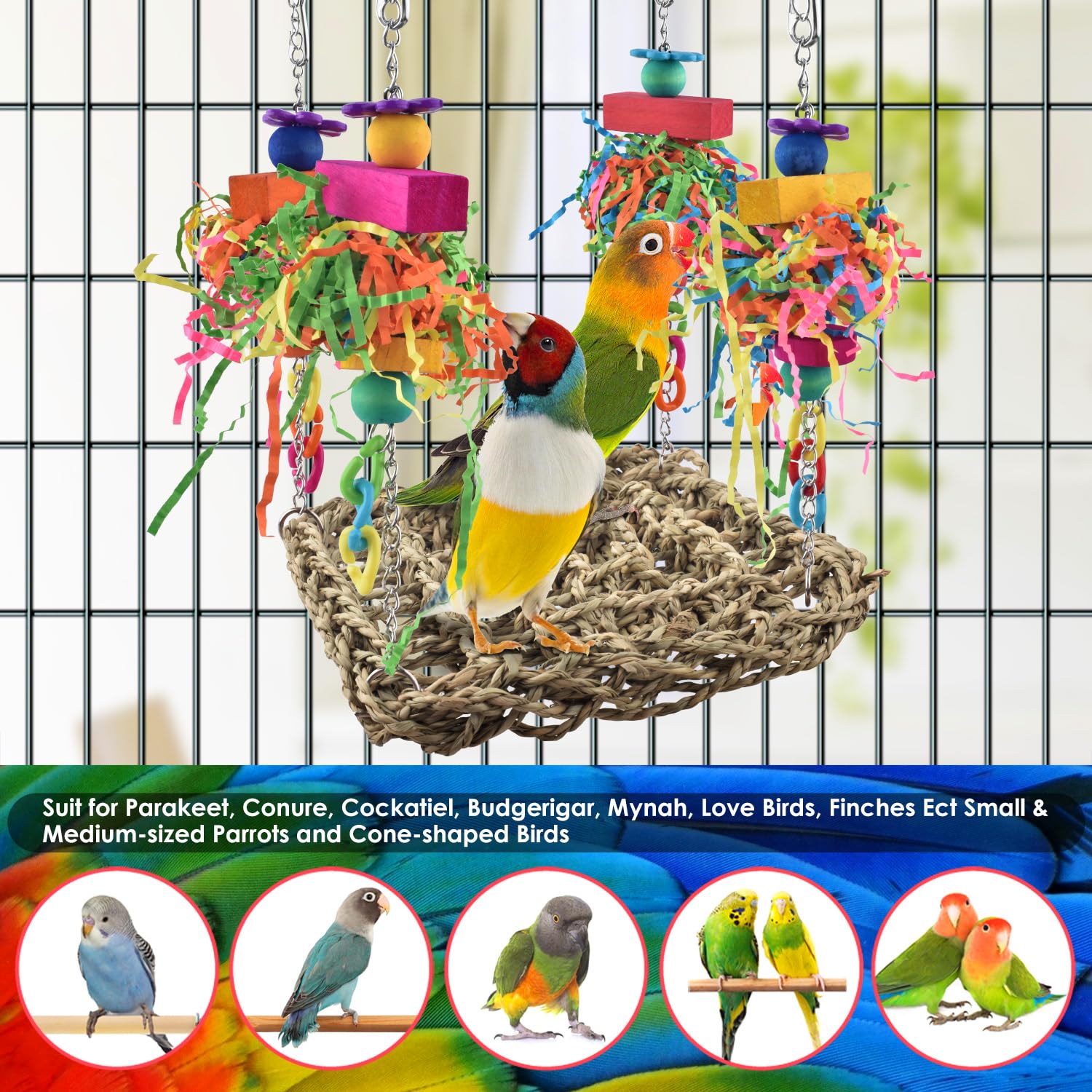 KATUMO Conure Bird Toys - Colorful Parrot Climbing Hammock & Grass Swing Mat for Parakeets, Cockatiels, Sun Conures, Lovebirds, Budgies | Perfect for Cage Play, Exercise & Mental Stimulation of Small Pet Birds