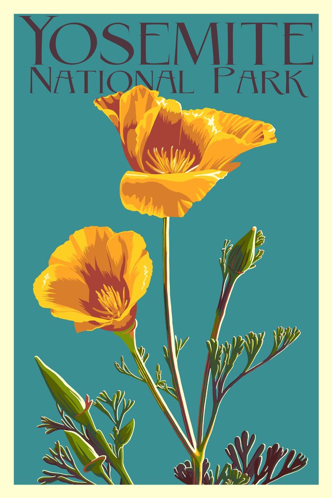 Yosemite National Park California Poppy Letterpress 50951 - 24x36 Signed Print Master Art Print - Wall Decor Poster for Living Room, Bedroom & Office