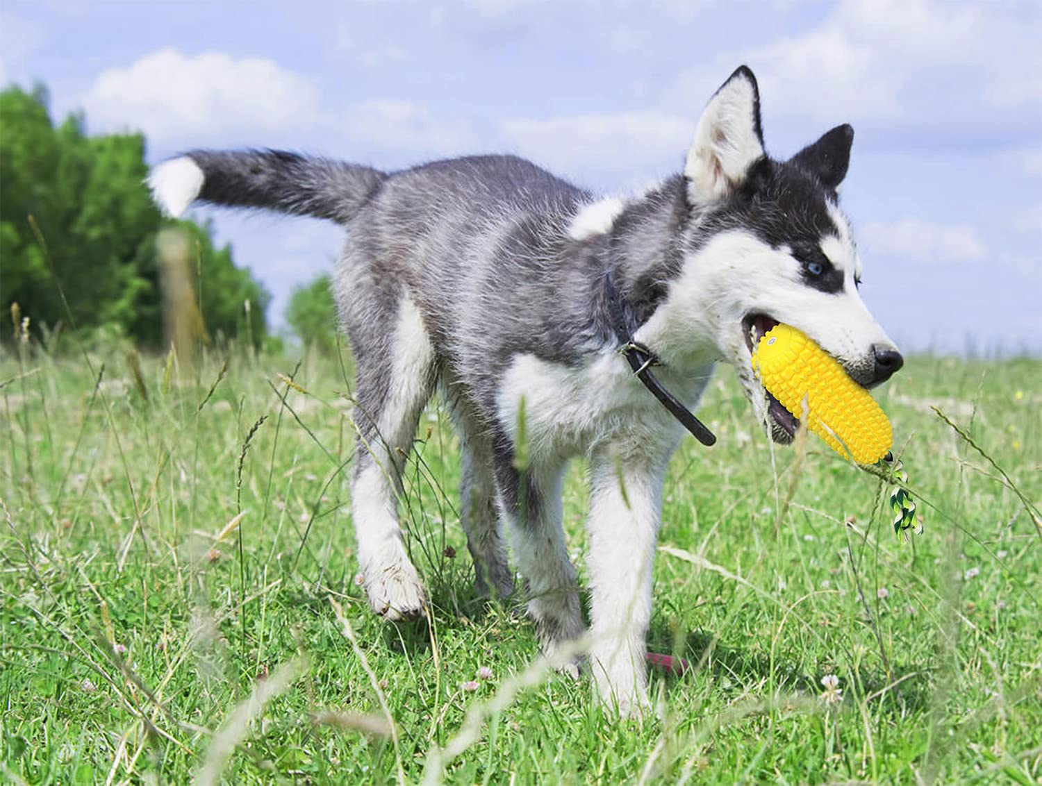 Acecy Indestructible Dog Chew Toys for Puppies, Small Medium Large Breeds - Corn Stick Squeaky Teething Toy for Boredom Relief | Durable Playtime, Training Reward, Interactive Fun