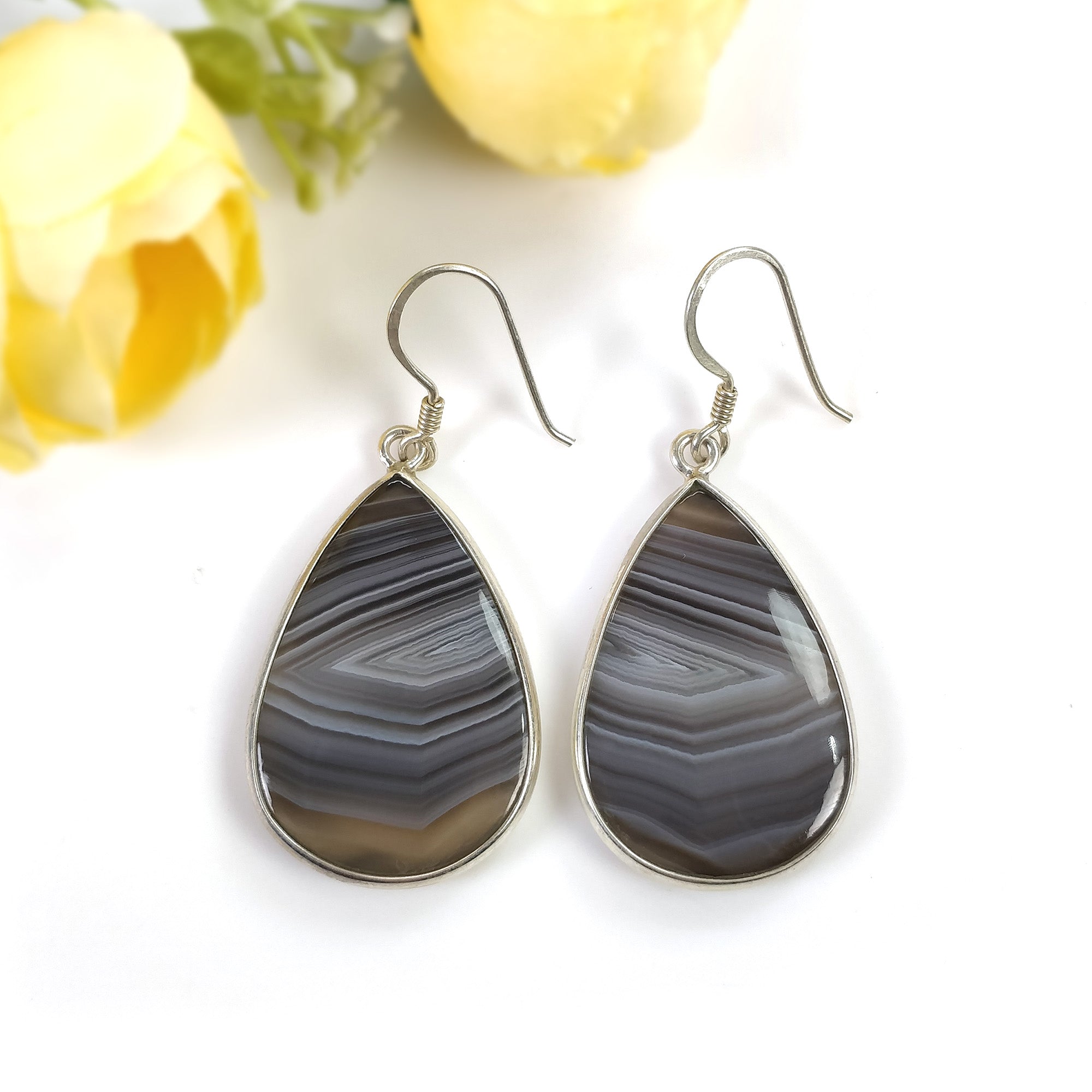 Natural Botswana Agate Gemstone Earrings - 12.52g 925 Sterling Silver Bi-Color Round Bezel Drop Dangle Hook Earrings for Women | Elegant Jewelry Gift for Birthday, Anniversary & Special Occasions