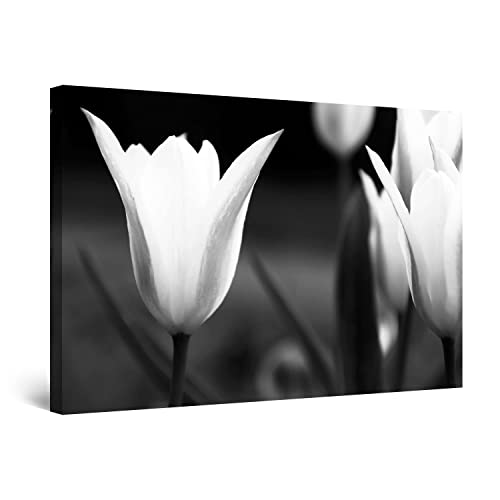 Black White Tulips