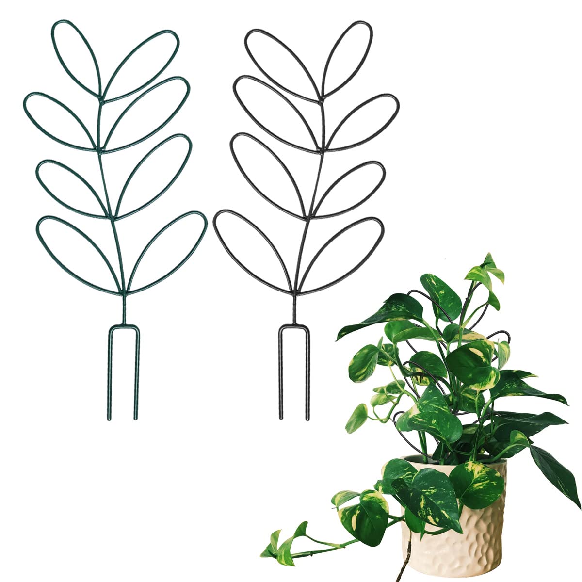 2-Pack Indoor Plant Trellis - Small Metal Wire Garden Trellis for Climbing Plants, Leaf-Shaped Support for Potted Houseplants (Blackish Green) | Perfect for Monstera, Pothos & Ivy in Home, Office or Balcony Gardens