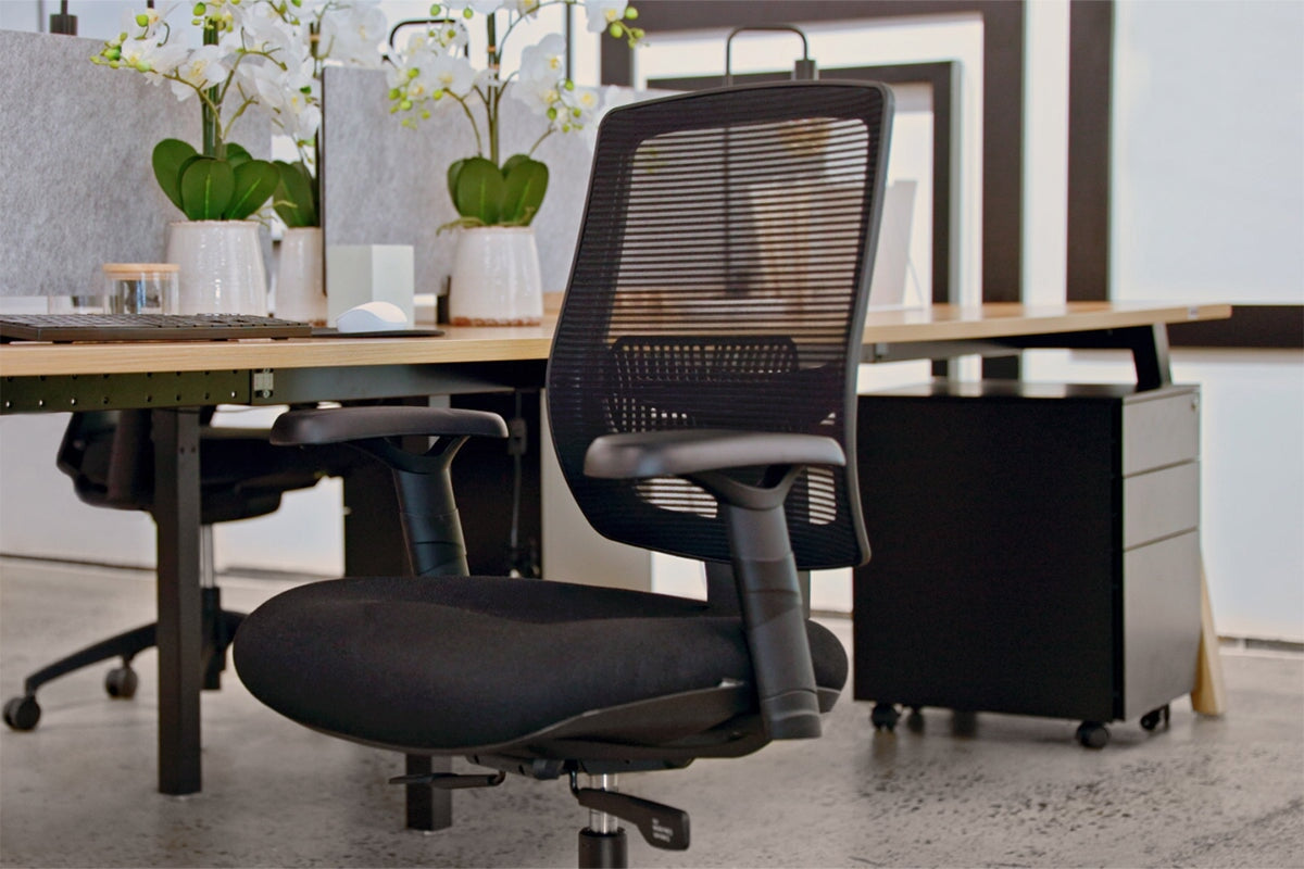 Shrike Ergonomic Office Chair - Adjustable Lumbar Support & Breathable Mesh Back - Home & Office Desk Chair for Long Hours Sitting - Perfect for Gaming, Working & Studying