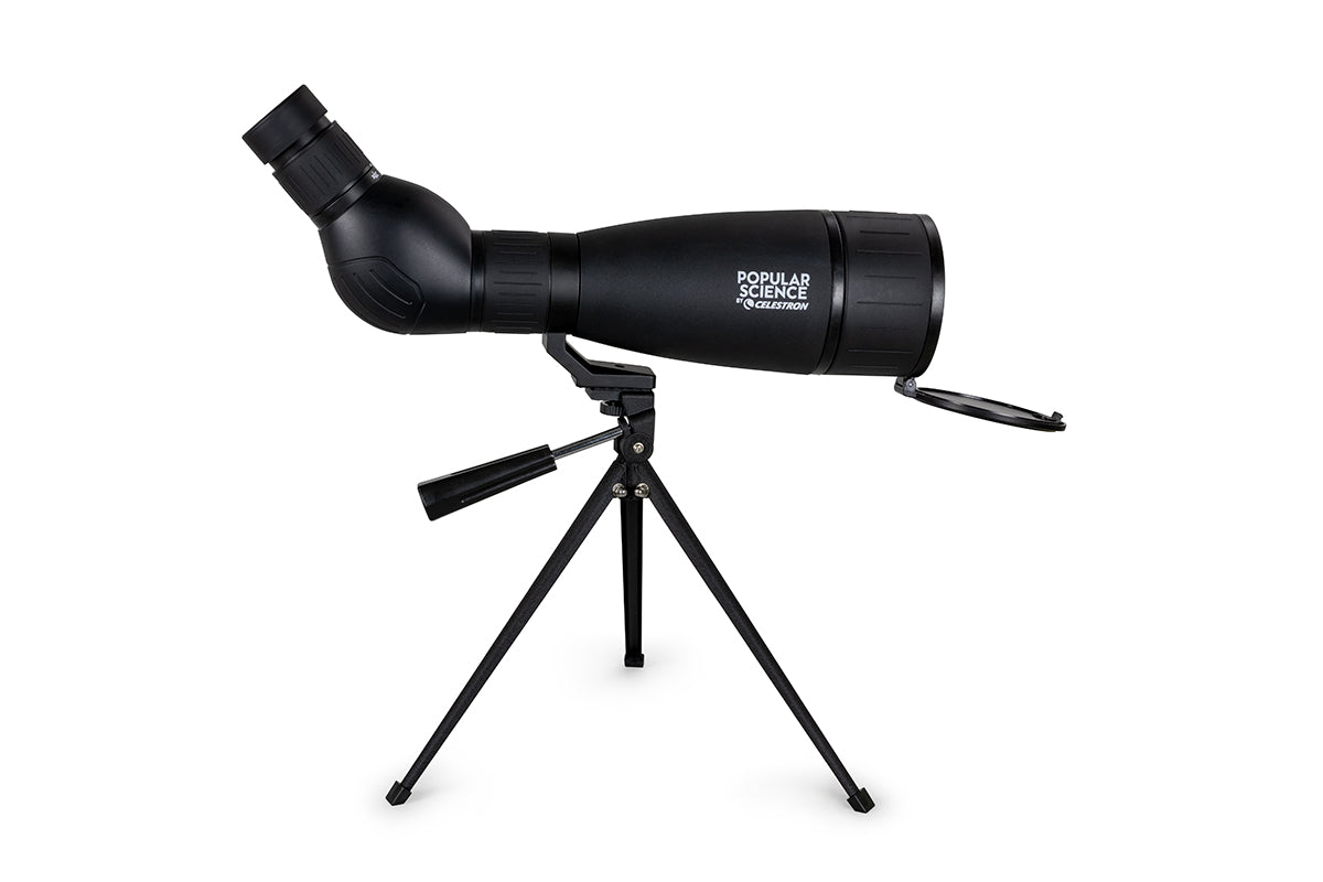 Celestron LandScout 20-60x80mm Angled Zoom Spotting Scope with Smartphone Adapter & Bluetooth Remote - High-Powered Telescope for Bird Watching, Hunting, and Outdoor Observation - Perfect for Wildlife Enthusiasts and Nature Explorers