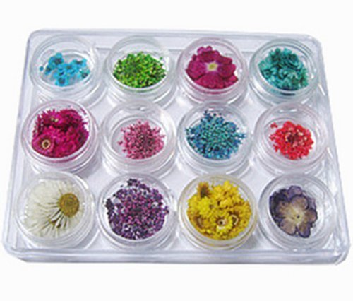 Premium Nail Art Kit with Real Dried Flowers - DIY Floral Manicure Set for Home & Salon Use - Perfect for Weddings, Parties, and Special Occasions