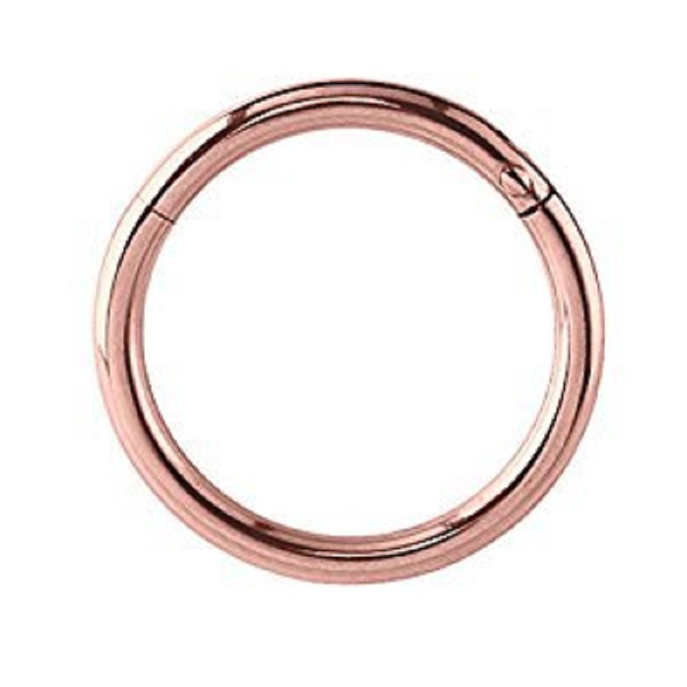 Pavlos Hinged Segment Ring - Seamless Endless Septum Ring for Tragus, Helix, Cartilage, Scaffold, Upper Ear, Lip & Nipple Piercing - Hoop Earrings for Everyday Wear & Special Occasions