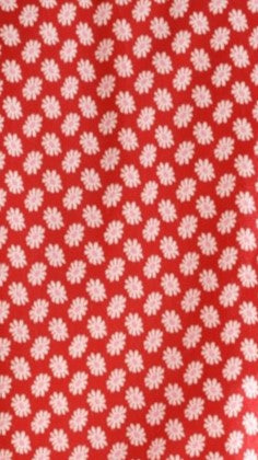 Arizona Mini Skirt - Red Floral Print Summer Skirt for Women | Casual Wear, Beach Outfit, Party Dress
