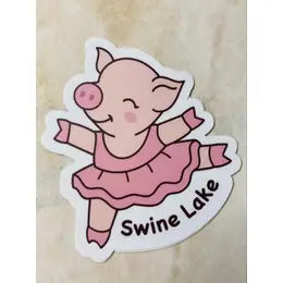 Denali & Co Dance Stickers - Fun & Colorful Vinyl Decals for Dance Studios, Water Bottles, Laptops & More