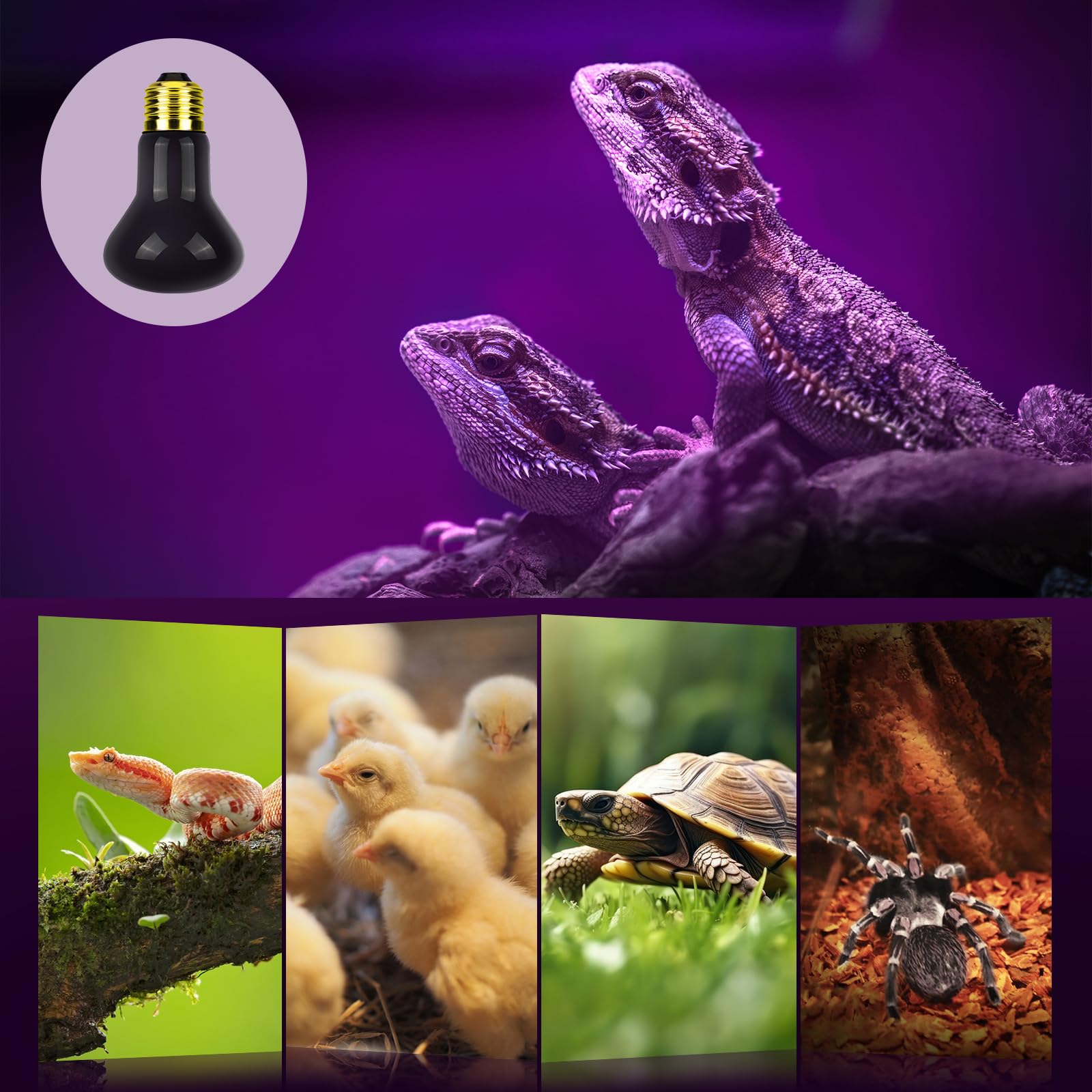 75W Reptile Heat Lamp Bulbs - Infrared Red Heat Bulb E26 110V for Chickens, Snakes, Lizards & Spiders - 2 Pack Black Bulbs for Pet Habitat Heating & Nighttime Warmth
