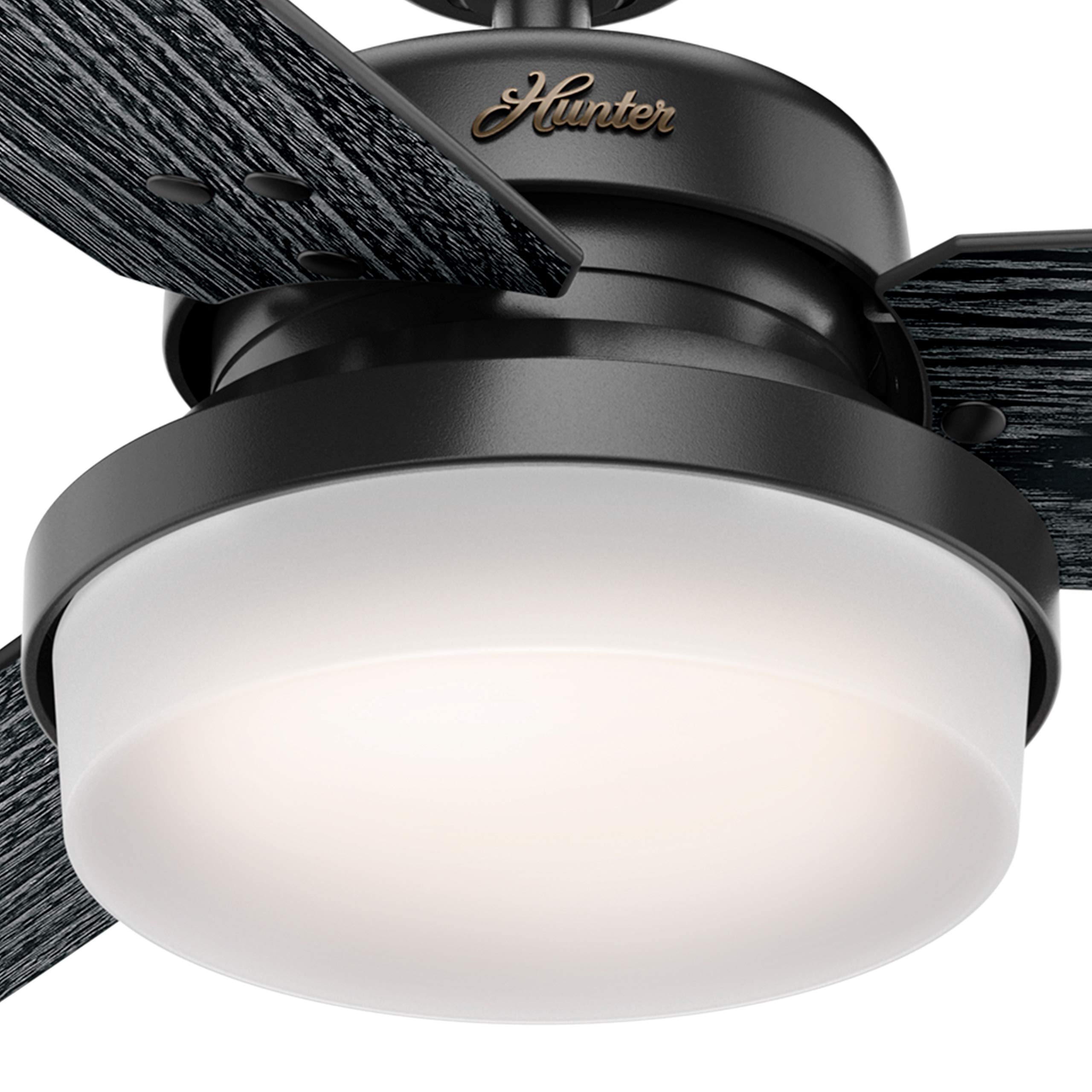 Hunter Fan 52 Inch Matte Black Ceiling Fan with Light Kit & Remote Control - Indoor Cooling for Bedroom, Living Room, Office (Renewed)