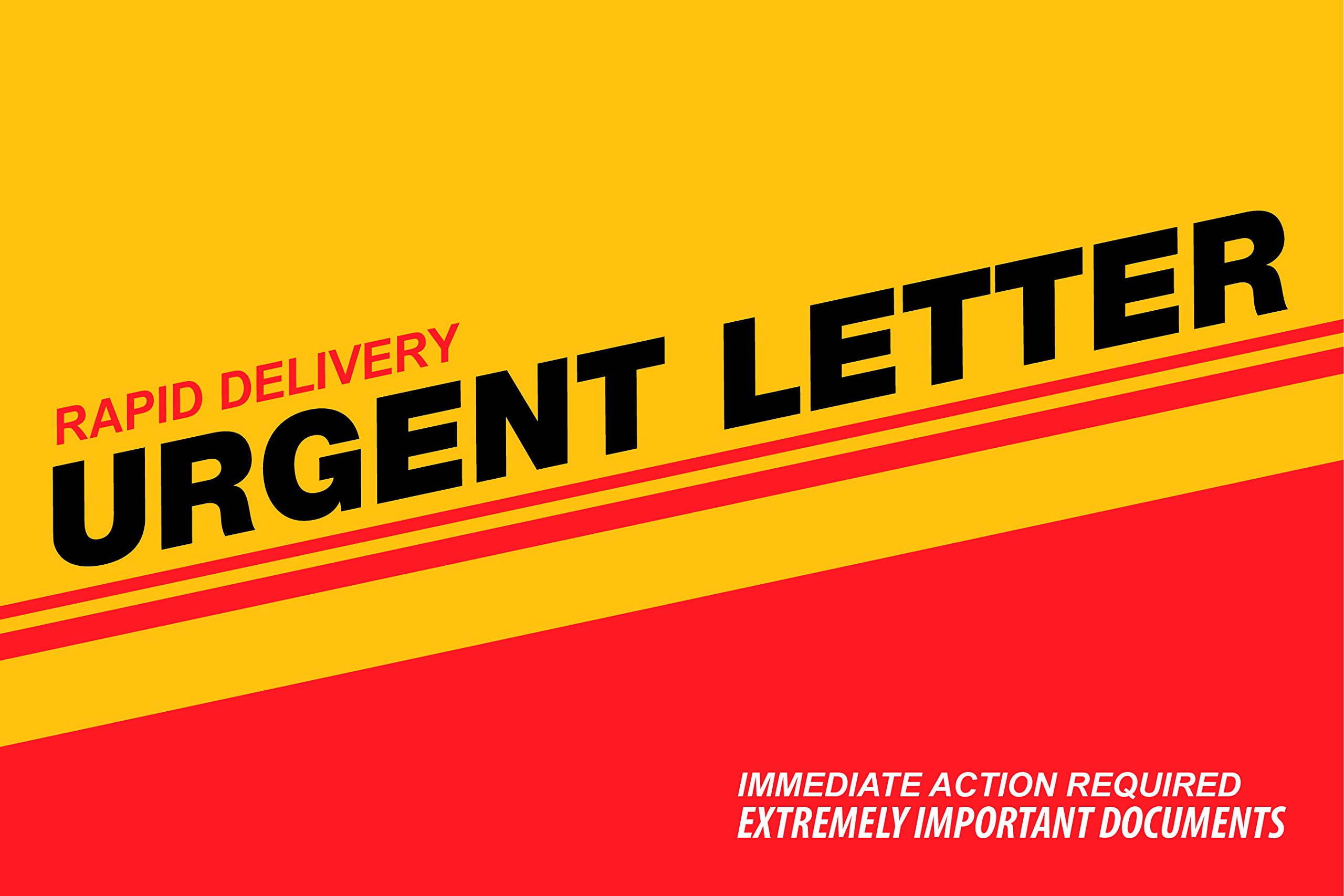 6x9 Express Envelopes - 500/Carton Bulk Mailing Envelopes for Direct Mail, Real Estate Marketing & Business Promotions | Perfect for Urgent Mailings, PR Campaigns & Product Announcements