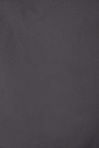 Arctic Gray