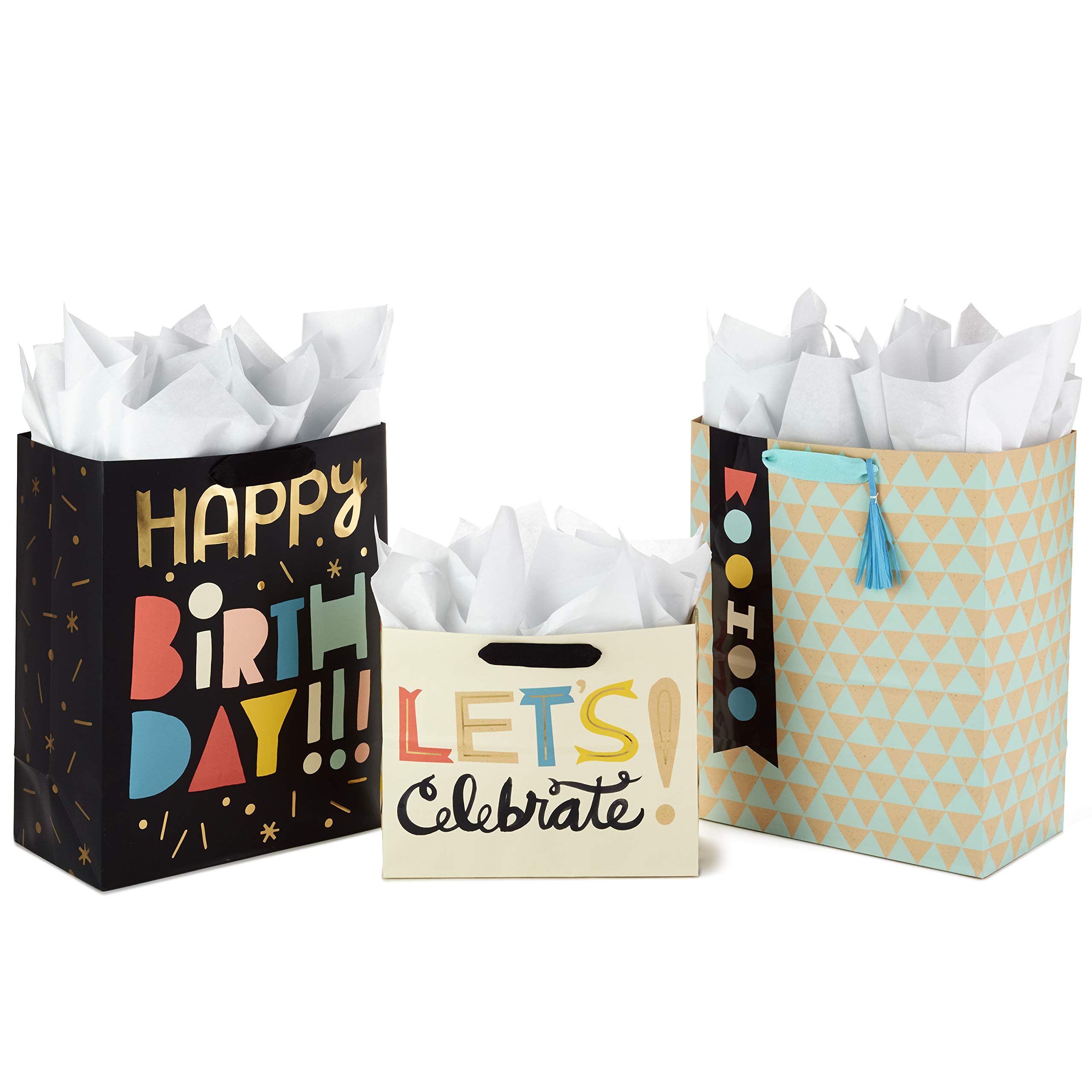 Hallmark Celebrate Gift Bags Assortment with Tissue Paper - Pack of 3 (2 Large 13
