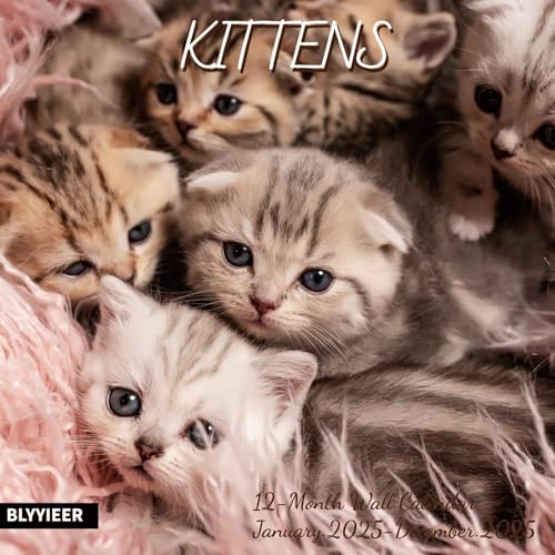 kittens01
