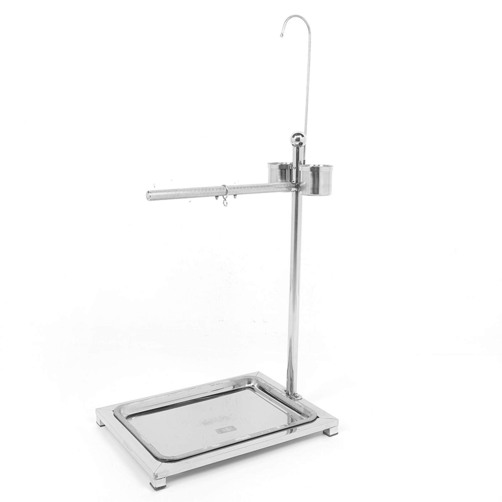 EVTSCAN Stainless Steel Bird Stand for Parrots - Training Perch with 2 Food Bowls (44 x 33 x 60cm) | Durable Bird Play Gym for Cockatiels, Macaws & Pet Birds | Perfect for Training, Feeding & Playtime at Home