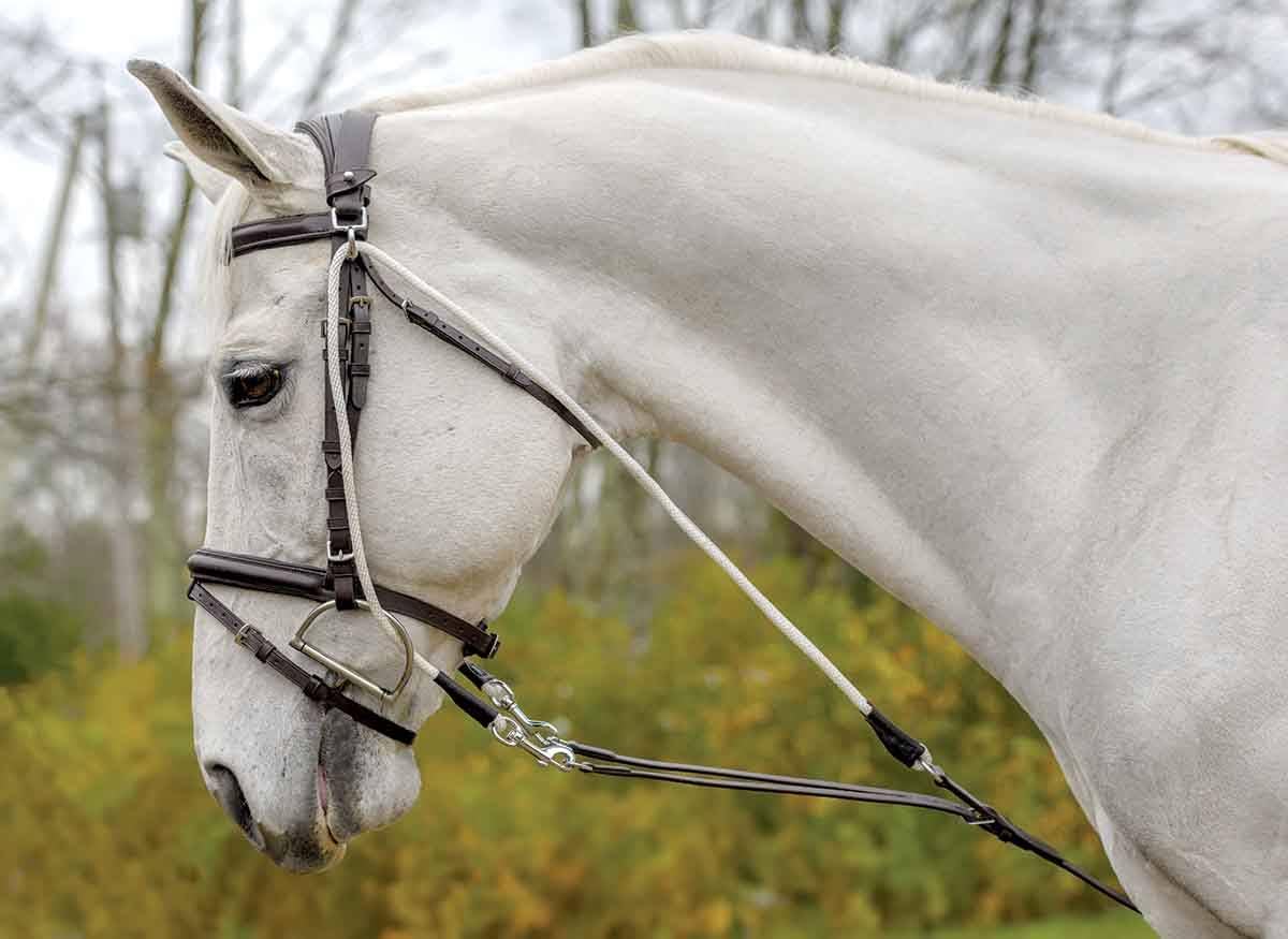 Shires Avignon De Gogue Horse Training Aid – Adjustable Leather Training Equipment for Dressage & Jumping – Perfect for Equestrian Training & Riding Lessons
