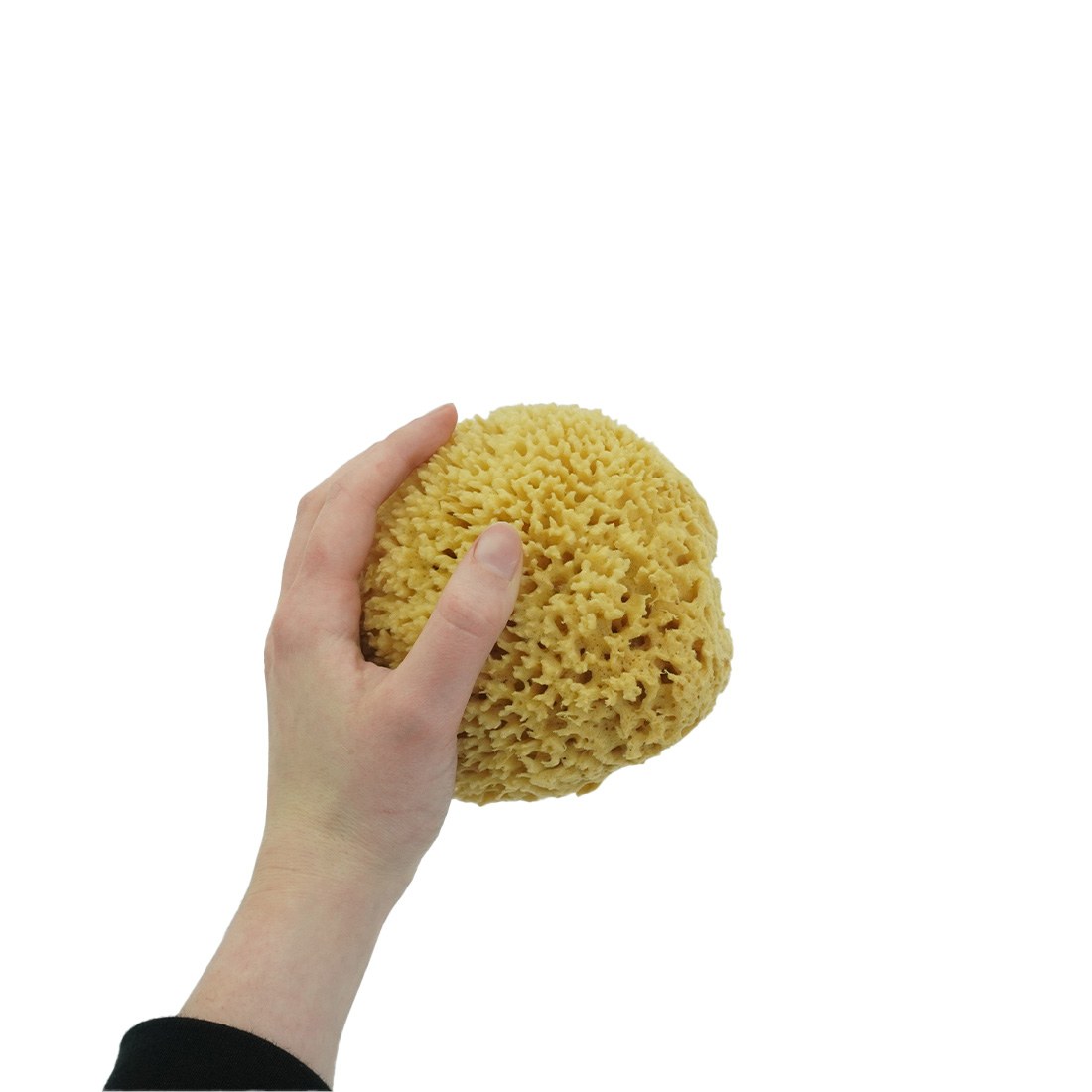 Premium Natural Sea Wool Sponge for Face & Body – Eco-Friendly, Hypoallergenic Bath & Shower Sponge – Gentle Exfoliation for Sensitive Skin – Perfect for Daily Skincare & Spa Use