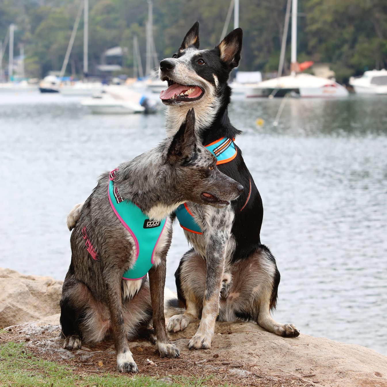 DOOG Neoflex Dog Soft Harness - Extra Small Reflective Pet Vest for Small Dogs - Comfortable & Adjustable for Walking, Hiking & Outdoor Adventures (Neon Green)