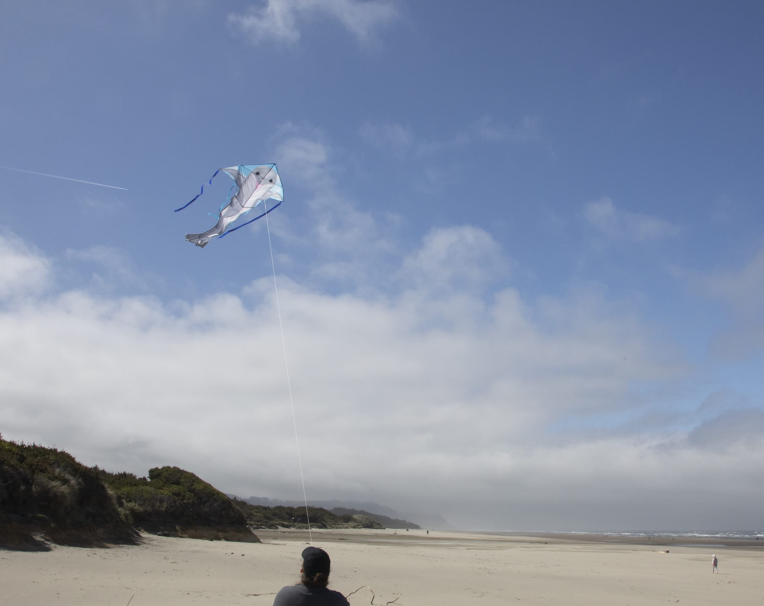 Dolphin Fly Hi Delta Kite - Large Colorful Single Line Kite for Kids & Adults - Perfect for Beach, Park & Outdoor Family Fun