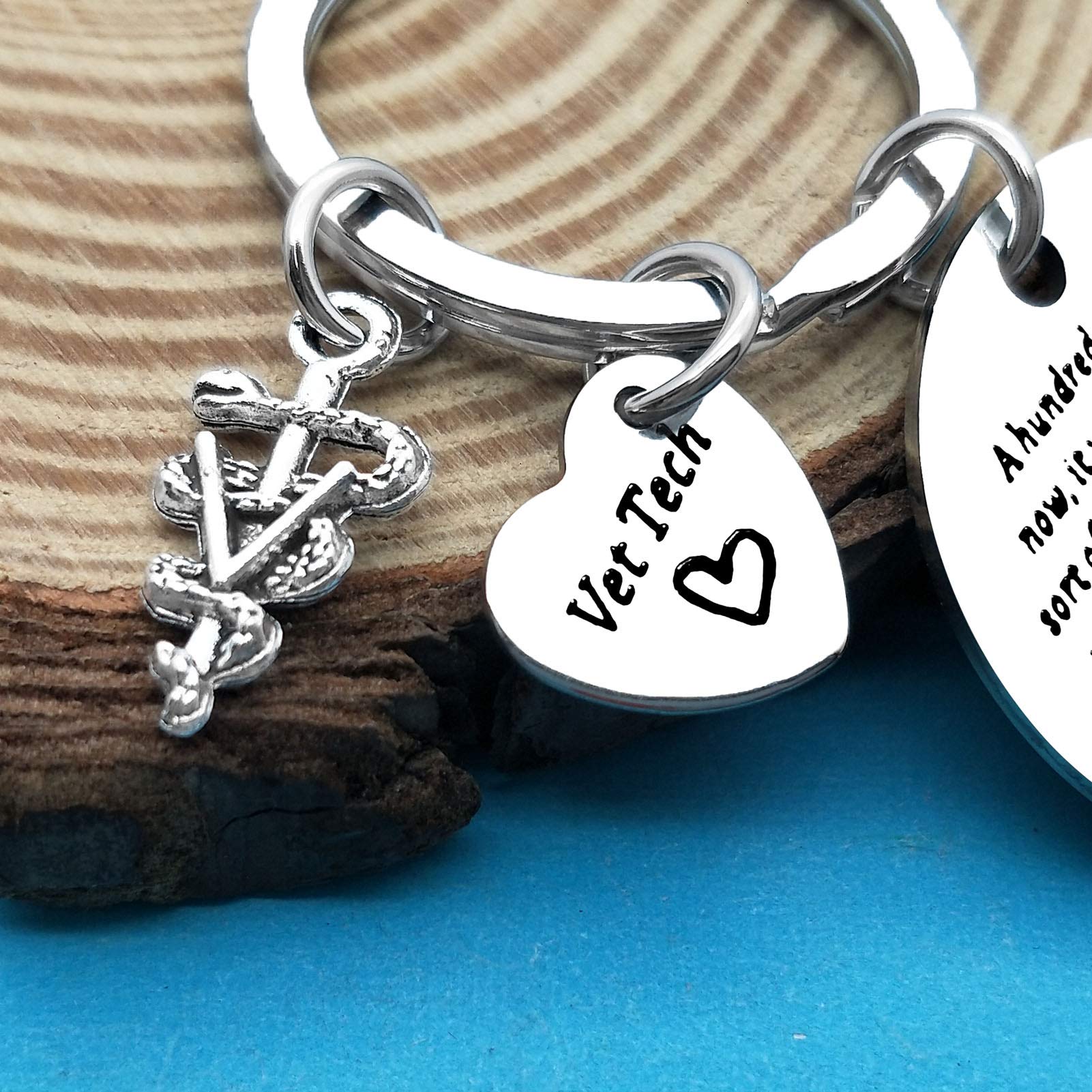 Xiahuyu Veterinary Keychain - Perfect Gift for Veterinarians, Vet Techs & Students - Ideal for Vet Appreciation, Graduation & Daily Use