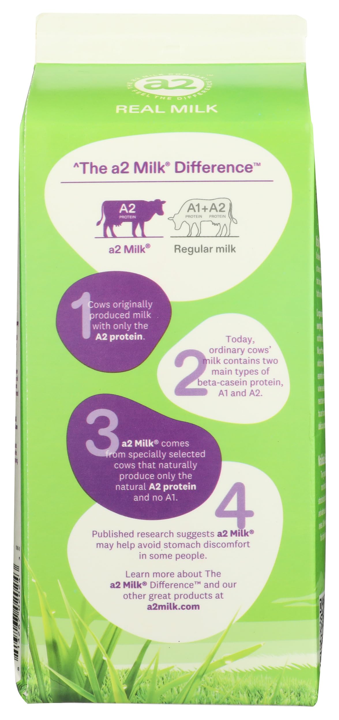 A2 Grass-Fed Whole Milk - 59 oz (1.75L) - Rich & Creamy Natural Milk for Coffee, Baking & Healthy Breakfast - Lactose Friendly Dairy Product