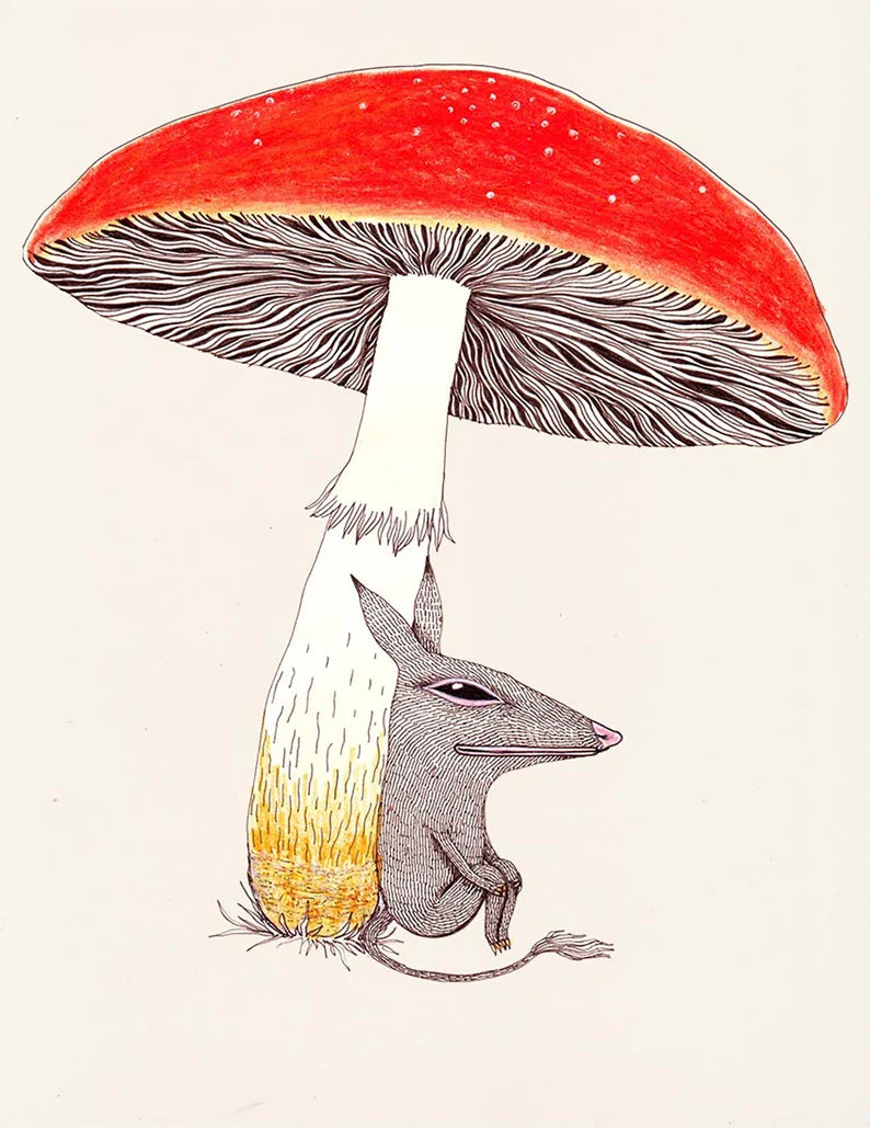 8.5x11 Fine Art Prints by Magda Boreysza - Fox and Comet Collection | Premium Wall Decor for Home, Office & Gift Giving